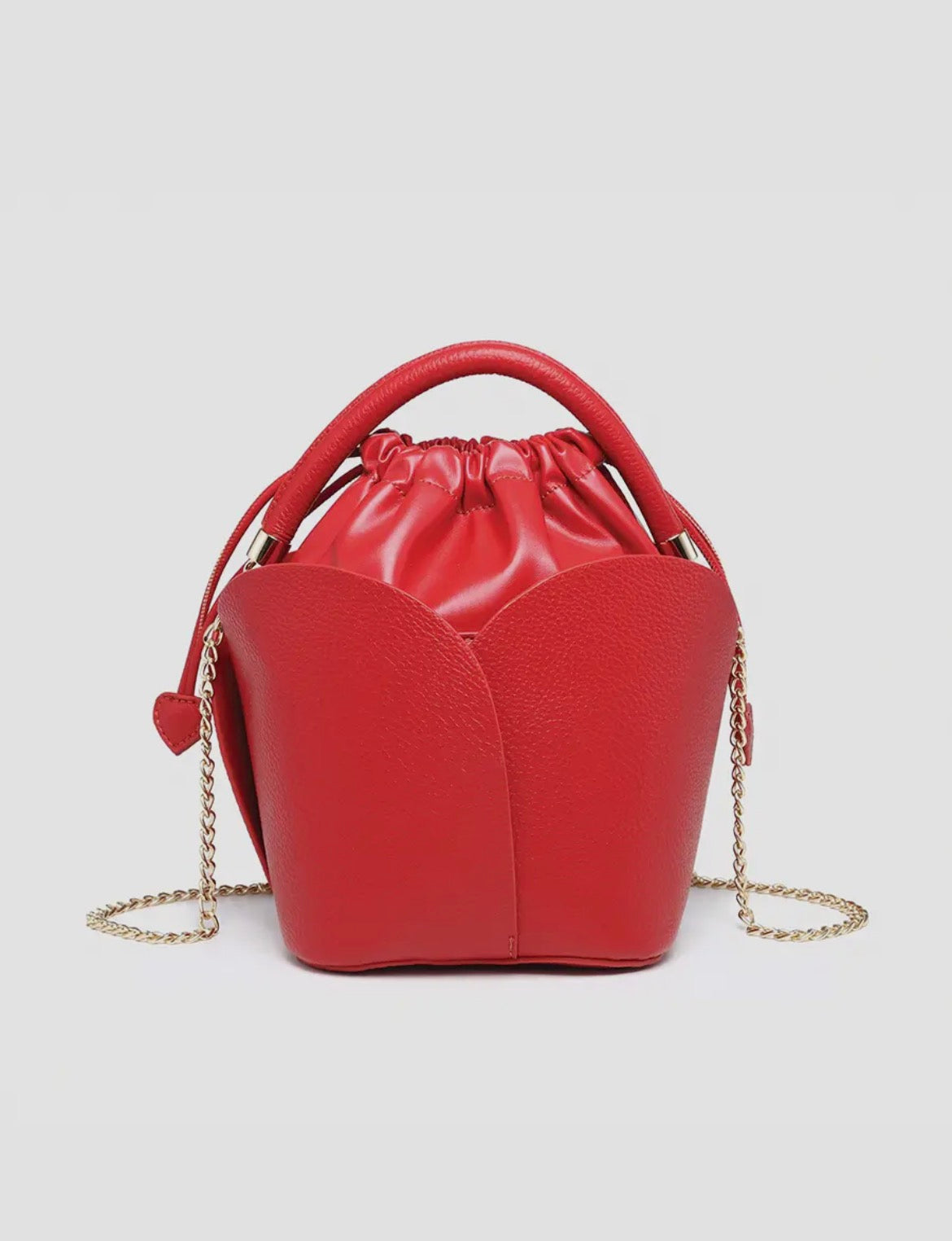 Paris bag