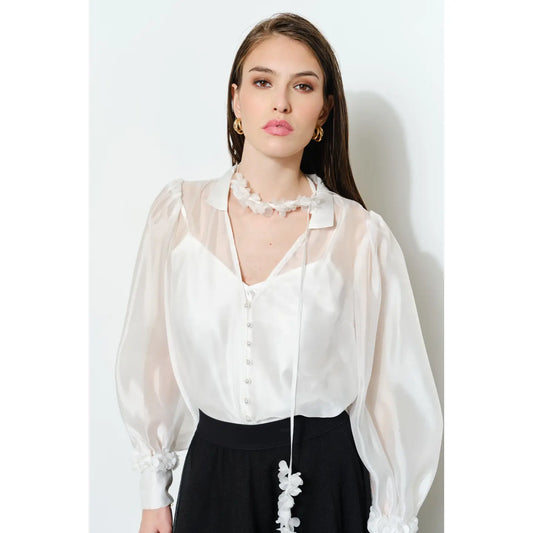 Long Puff Sleeve Sheer Floral Tie-Neck Blouse