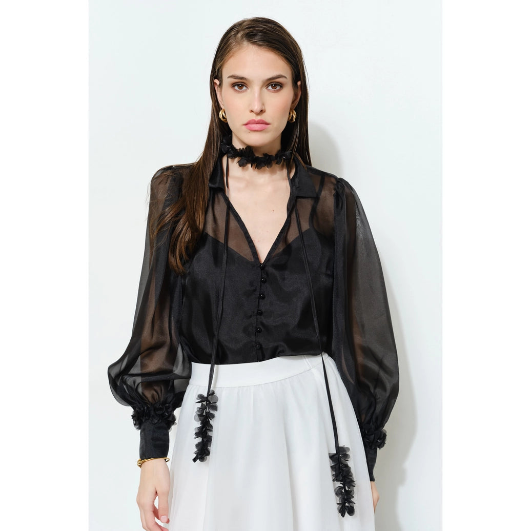 Long Puff Sleeve Sheer Floral Tie-Neck Blouse