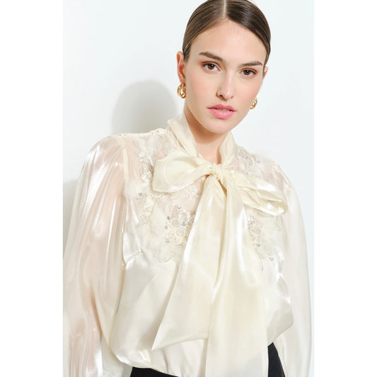 Luxe shimmer blouse