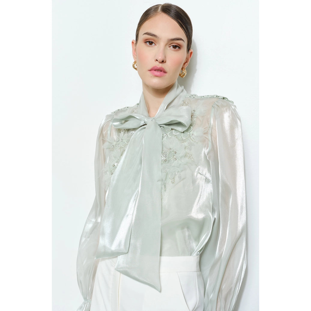 Luxe shimmer blouse