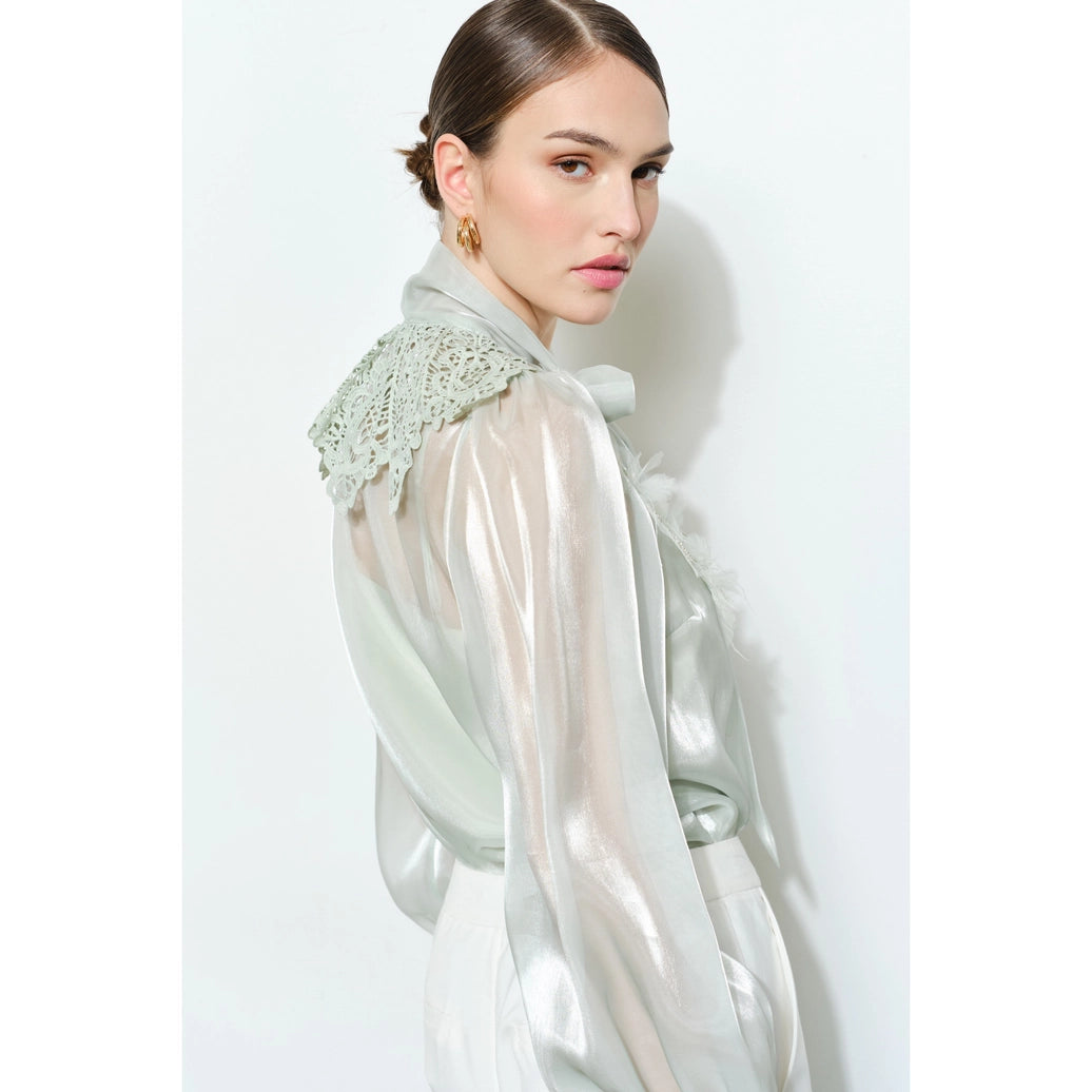 Luxe shimmer blouse