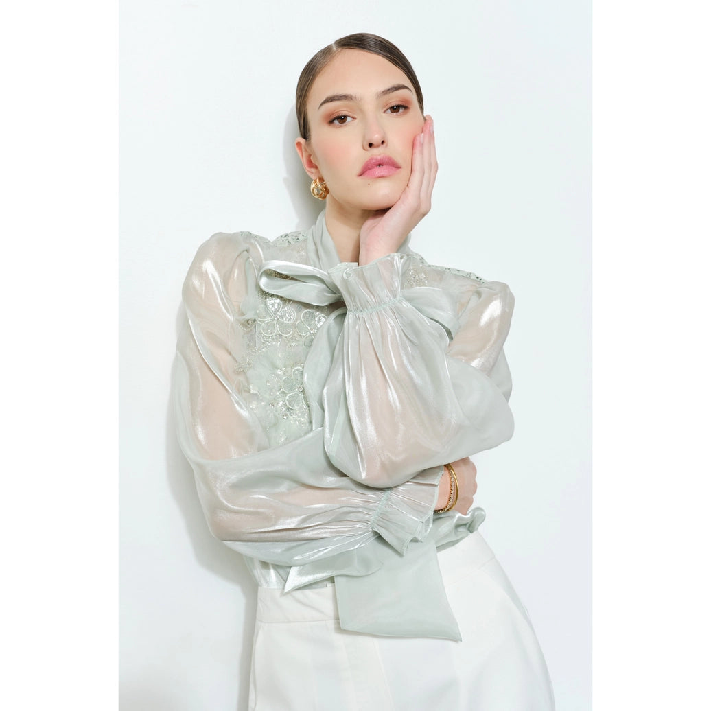 Luxe shimmer blouse