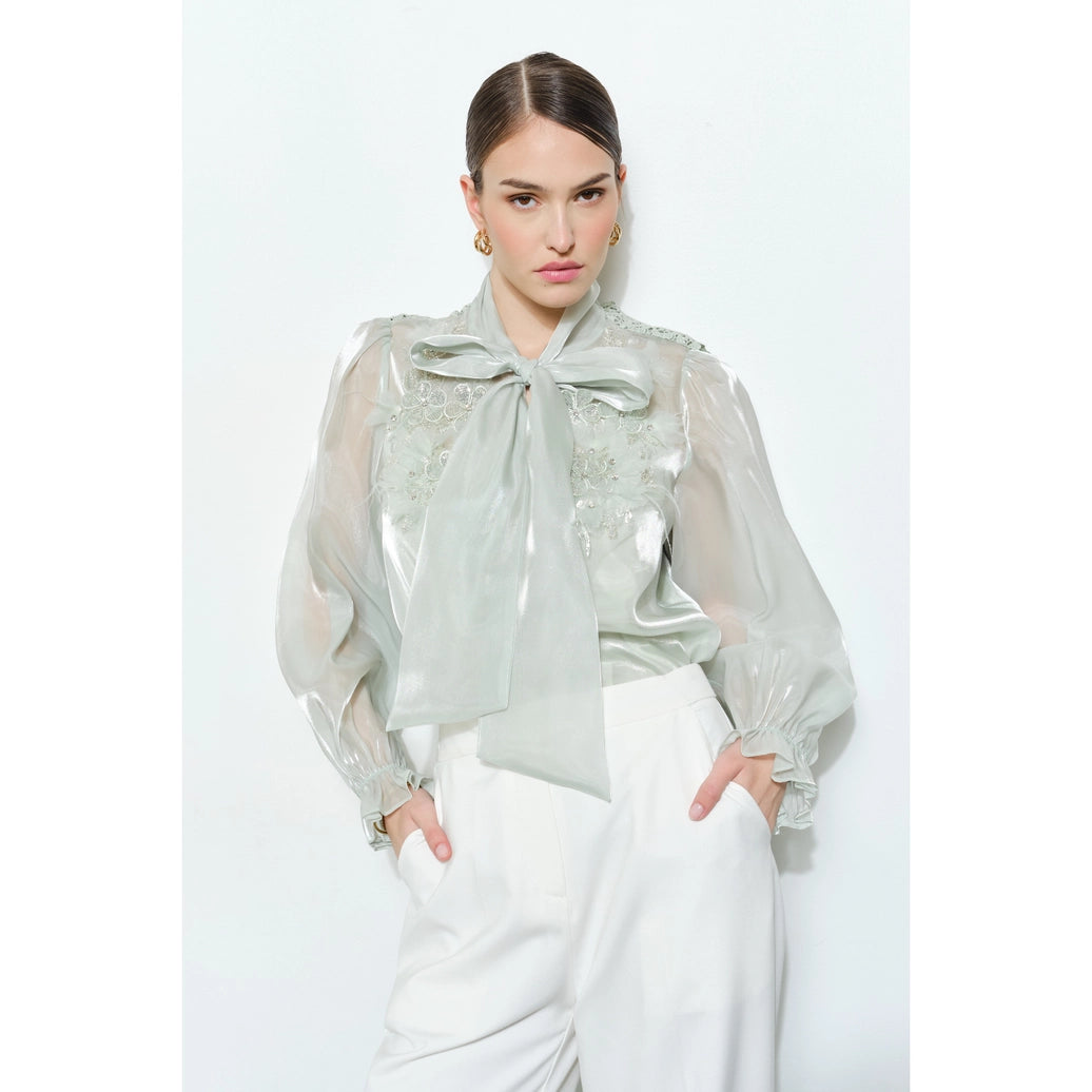 Luxe shimmer blouse