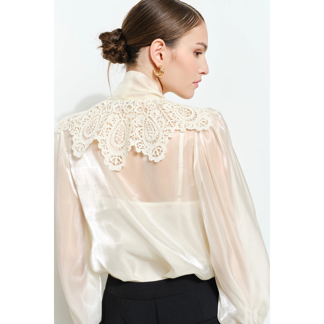 Luxe shimmer blouse