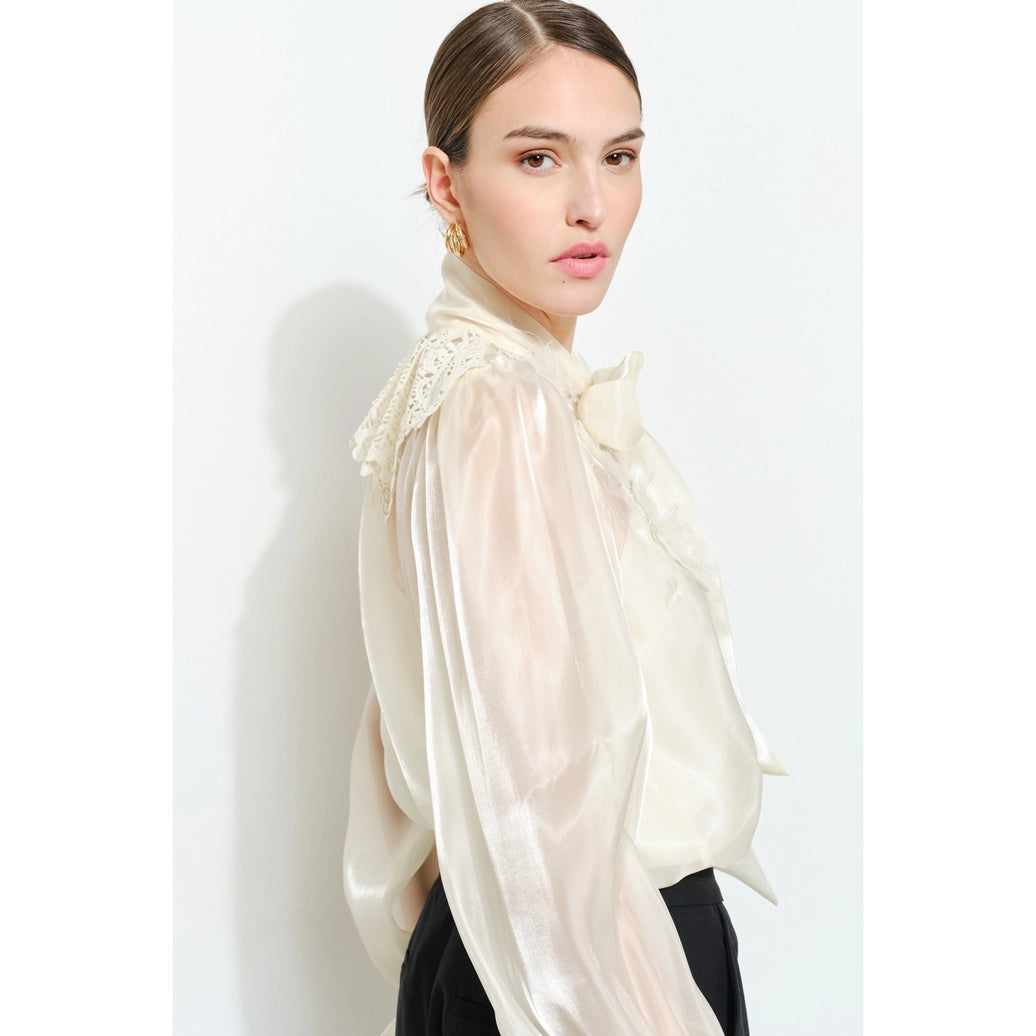 Luxe shimmer blouse