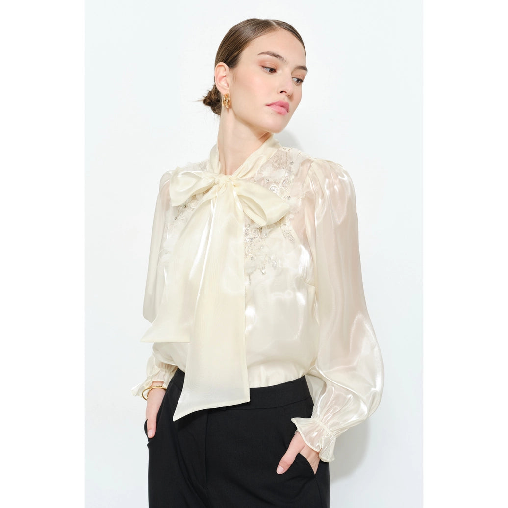 Luxe shimmer blouse