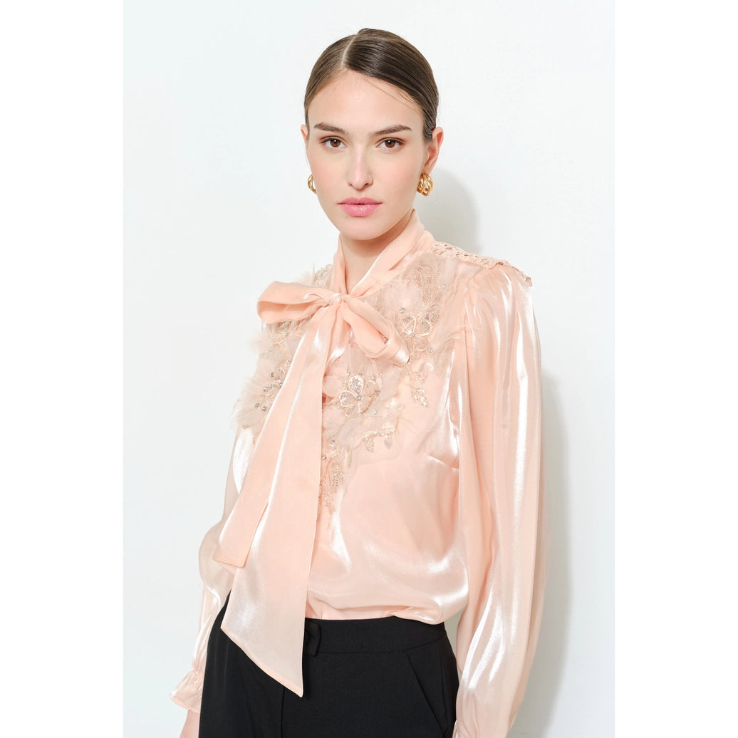Luxe shimmer blouse
