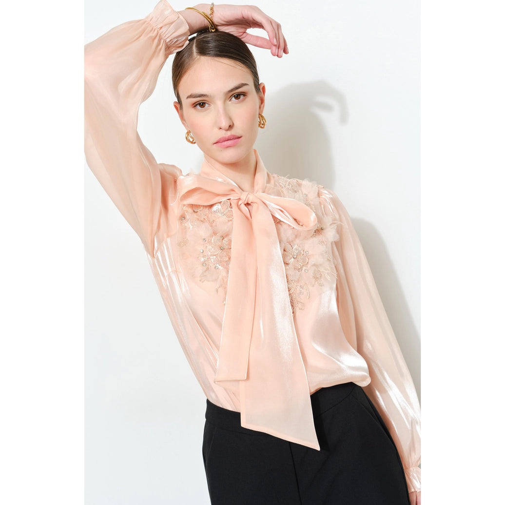 Luxe shimmer blouse