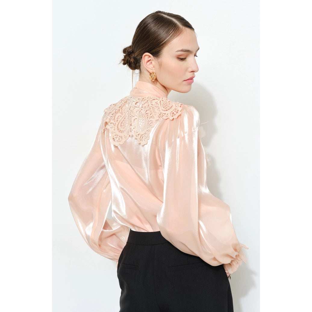 Luxe shimmer blouse