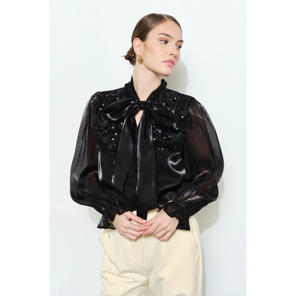 Luxe shimmer blouse