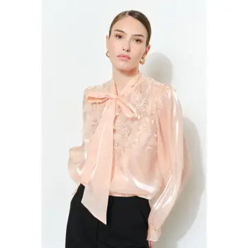 Luxe shimmer blouse